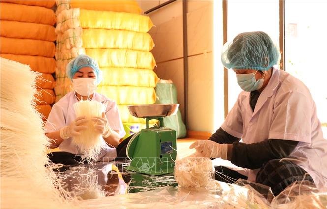 Làng miến Chi Lăng tất bật ‘chạy’ đơn hàng Tết